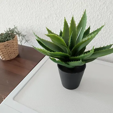 Apartmán Workation Modern Taunus Nature Balcony, 5 People, Free Parking, Near Messe Schwalbach am Taunus